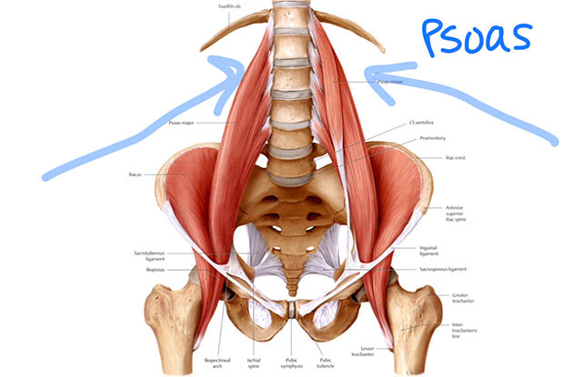 pooas-kenhubdotcom