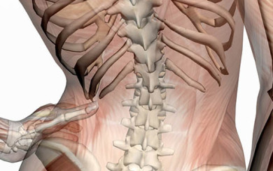 Image of lower back pelvis tilt