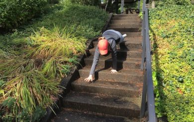 Image of woman doing bear crawl exercise down steps