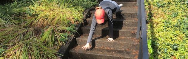 Image of woman doing bear crawl exercise down steps